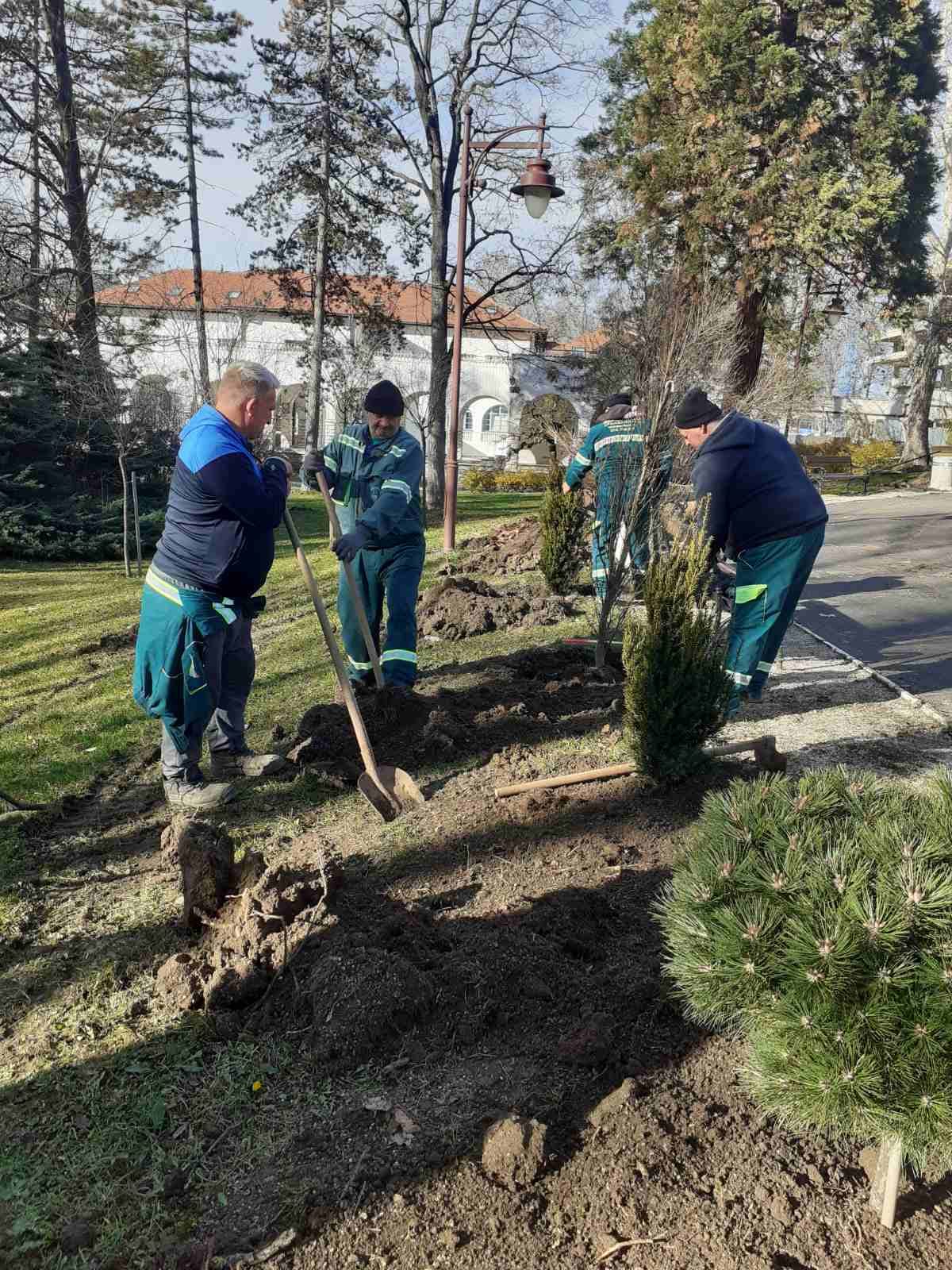 У току је реализација пројекта озелењавања централног дела Парка Буковичке Бање